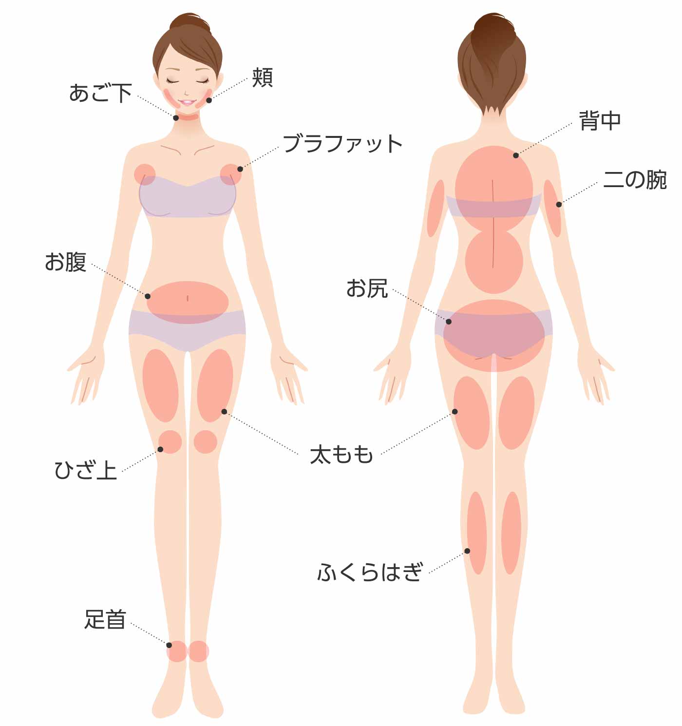 頬、あご下、背中、ブラファット、二の腕、お腹、お尻、太もも、ひざ上、ふくらはぎ、足首