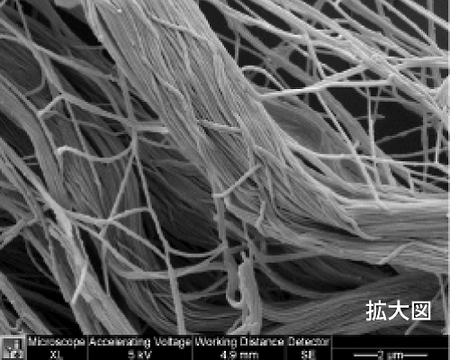 電子顕微鏡写真：マトリコール®のコラーゲン組織構造拡大図