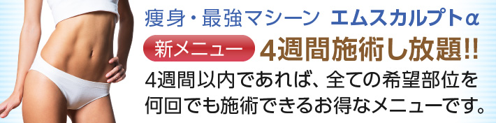 エムスカルプトα ［新メニュー］4週間施術し放題!! 4週間以内であれば、全ての希望部位を何回でも施術できるお得なメニューです。