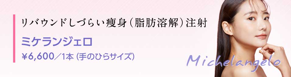 リバウンドしづらい痩身（脂肪溶解）注射“ミケランジェロ” ￥6,600／1本（手のひらサイズ）