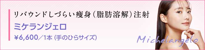 リバウンドしづらい痩身（脂肪溶解）注射“ミケランジェロ” ￥6,600／1本（手のひらサイズ）