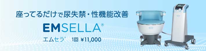 座ってるだけで尿失禁・性機能改善 EMSELLA（エムセラ） 1回￥11,000