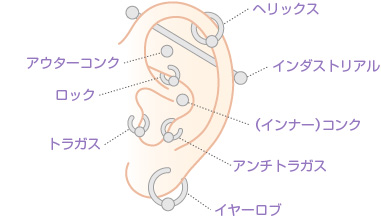 図：耳の特殊部位ピアス