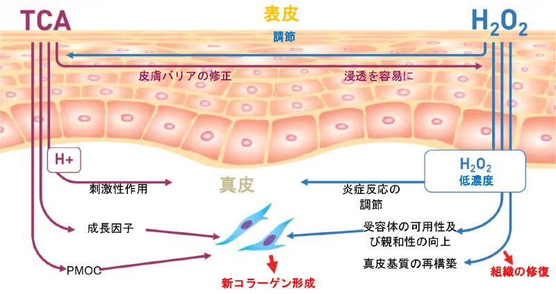 イメージ図