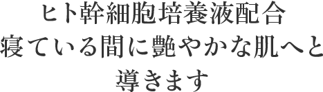 ヒト幹細胞培養液配合寝ている間に艶やかな肌へと導きます